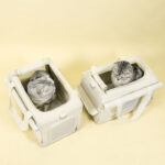 Pet Trolley Double-deck Bus Luggage Cat Bag Portable - Image 4