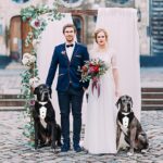 Dog Tuxedo Suit With Bow Tie And Bandana  Adjustable Formal Costumes For Small, Medium, Large Dogs Perfect For Weddings Birthdays - Image 6