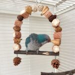 Wooden Parrot Swing Natural Log Bird Stand Pole Perched Wooden Mountain Parrot Toys