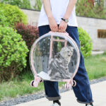 Portable Transparent Trolley Case Cat Bag - Image 5