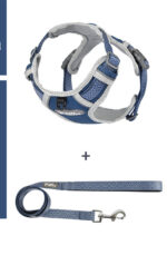 The Dog's Chest Strap Goes Out And Walks Leash - Image 7