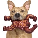 Dog Molar Nibbling Nylon Beef Flavor Toy - Image 3