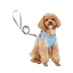 Dog Hand Holding Rope Vest Small Dog Dog Leash Teddy Bichon Breathable Chest Strap Pomeranian Puppy Small Dog Leash - Image 7