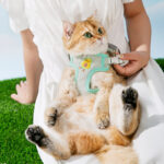 Cat Traction Rope Special Anti Break Pet Supplies - Image 2