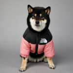 Windproof And Rainproof Dog Winter Warm Pet Cotton-padded Clothes - Image 3
