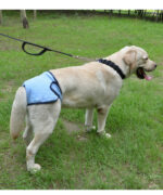 Pet Dog Simple Velcro Physiological Pants - Image 8