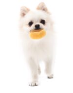 Mushroom Tibetan Food Vocal Toy Set Dog - Image 4