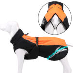 Winter Warm And Fashionable Pellet Down Jacket For Dogs - Image 4