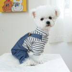 Pet Clothes Dog Clothing Cute Bear - Image 3