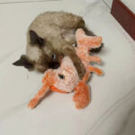 Pet Gravity Shrimp Plush Toy USB Charging Simulate Lobster Electric Jumping Cat Toys, Simulation Lobster Dog Toy, USB Charging With Catnip Plush Cat Toy, Pet Dog Cats Stuffed Interactive Toy - Image 7