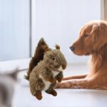 Squeaky Dog Toy Pet Toy Dog Biting Toy Dog Squirrel Plush Toy Interactive Chewing Toy For Small Large Dogs Aggressive Chewers - Image 8