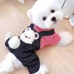 Pet Poodle Dog Clothes Cotton-padded Coat Four-leg Fleece-lined - Image 4