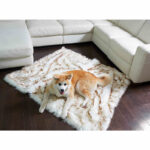 Dog Bed  Machine Washable And Waterproof Couch Bed, White With Brown Accents - Image 5