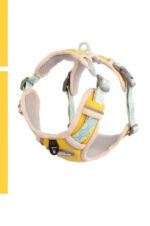 The Dog's Chest Strap Goes Out And Walks Leash - Image 4