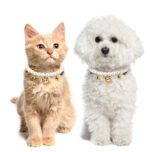 3pcs Pearl Necklace For Pets Halloween Decoration Cat Necklace Puppy Dog Bell Neck Ornament - Image 3