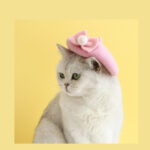 Pet Cat Wool Painter Bud Small Hat - Image 5
