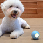 Cat Toys To Get High And Relieve Boredom Teasing Cat Stick Smart Rolling Ball - Image 4