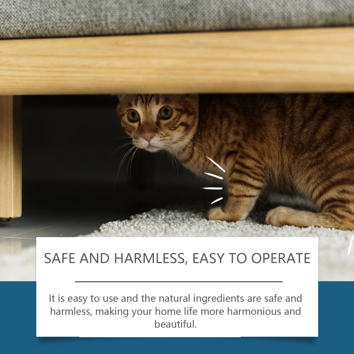 Pet Insect Repellent Prevent Cats From Going To Bed Spray - Image 3