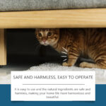 Pet Insect Repellent Prevent Cats From Going To Bed Spray - Image 3