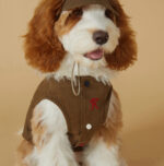 Pet Spring And Summer Sports Style Outdoor Work Clothes Vest Stain-resistant Thin Clothes - Image 3