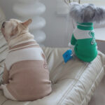 Dog Warm Autumn And Winter Baseball Jacket - Image 6