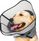 Pet Sterilization Collar Adjustable Ring - Image 5