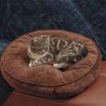 Thickened Futon Pet Cushion For Meditation - Image 3