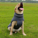 Pet Coat Cold-Proof Warm Rain-Proof Clothe Big Dog Clothing Corgi Clothes Dog Trench - Image 3