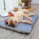 Dog Mat Floor Mat Ice Pad Summer Pet Supplies