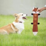 Durable Dog Toy Teeth Dog Toy Bite-resistant Dog Chew Toy Squeaky Pet Toy For Teeth Treat Dispensing Engaging Pet For Puppies - Image 9