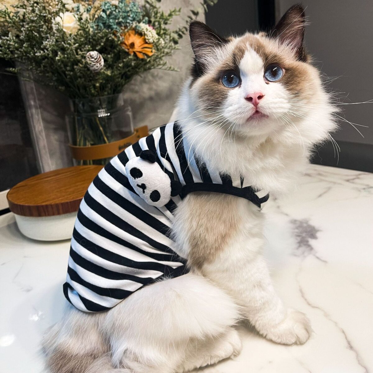 Striped Clothes Small Dog Pet Clothes Vest Type - Image 1