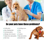 Pet Hair Care Relieve Skin Itching Hair Fluffy Soft Care Solution - Image 4