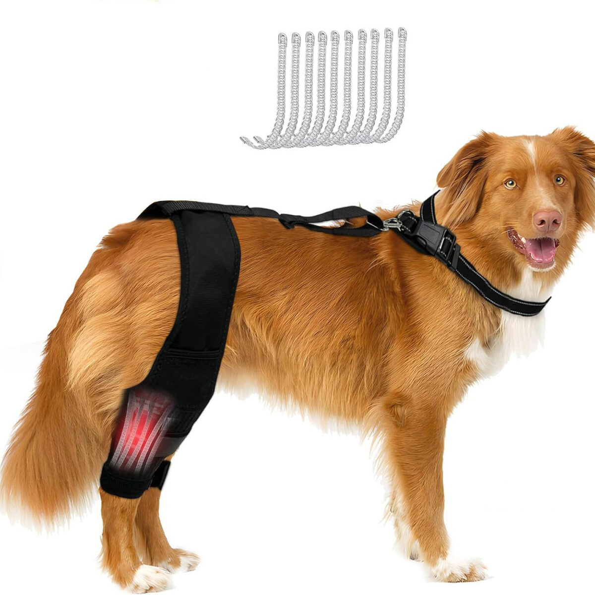 Leg Protector For Dogs Knee Brace Auxiliary Belt Joint Protection Pet Supplies Great Deal - Image 1