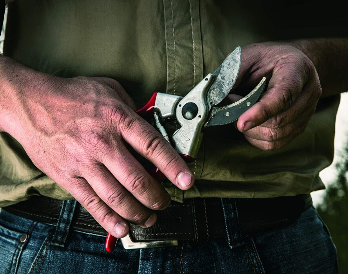 Basic Level Large-handed Right-handed Gardening Shears - Image 4