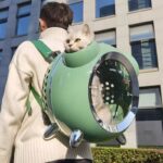 Going Out Portable Space Pet Alarm Clock Cat Bag - Image 5