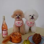 Super Soft Crocheted Cat Saliva Towel For Pets With Cute Pig Decoration - Image 3