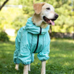 Dog Shell Jacket Cotton-padded Clothes Warm Thickened - Image 2