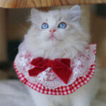 Cute Cat Dog Scarf Photo Jewelry - Image 5