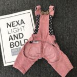 Autumn And Winter Pet Corduroy Overalls - Image 3