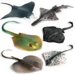 Simulation Marine Animal Model Children's Cognitive Toy - Image 5