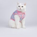 Small Dog Pet Cat Autumn Vest - Image 5