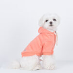 Macaron Hooded Pet Sweatshirt Casual - Image 3