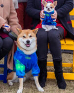 Pet Dog Tide Brand Warm And Thickened Tie Dyed Sweatshirt - Image 3