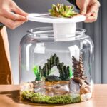 Transparent Plastic Ecological Desktop Landscaping Feeding Fish Tank - Image 4