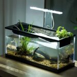 Acrylic Filter Circularly Heating Lighting Integrated Lazy Aquarium - Image 4