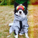 Dog Raincoat Tactical Reflective Shell Jacket Waterproof Poncho Clothing - Image 2
