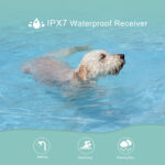 Prevent Dog Barking Bark Stopper Remote Control Training Shock Collar - Image 3