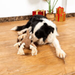 Dog Plush Shell Shape Containing Sound Paper Bb Called Bite-Resistant Molar Pet Toy Interactive Large Dog Puppy Pet Supplies - Image 3