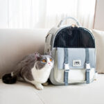 Portable And Foldable Large-capacity Cat And Dog Backpack - Image 9