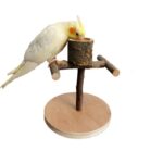 Solid Wood Parrot Station Frame Training Bird Shelf Parrot Toys - Image 2